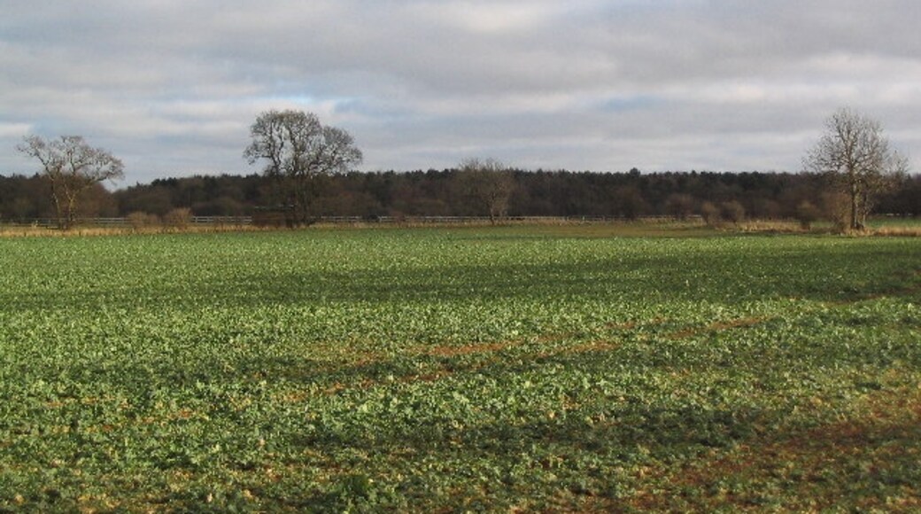 Foto "Carlby" de Tim Heaton (CC BY-SA) / Recortada do original