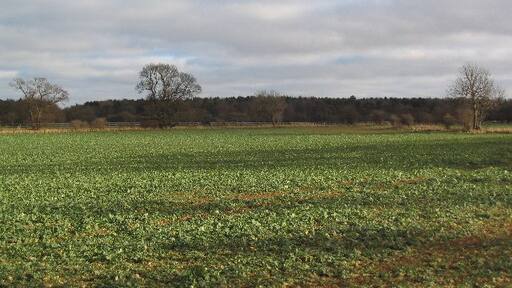 Foto „Carlby“ von Tim Heaton (CC BY-SA)/zugeschnittenes Original