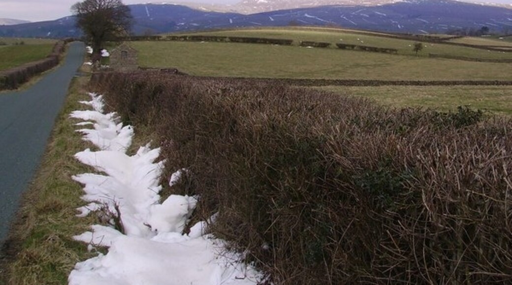 Billede "Bentham" af Ron Shirt (CC BY-SA) / beskåret fra det originale billede