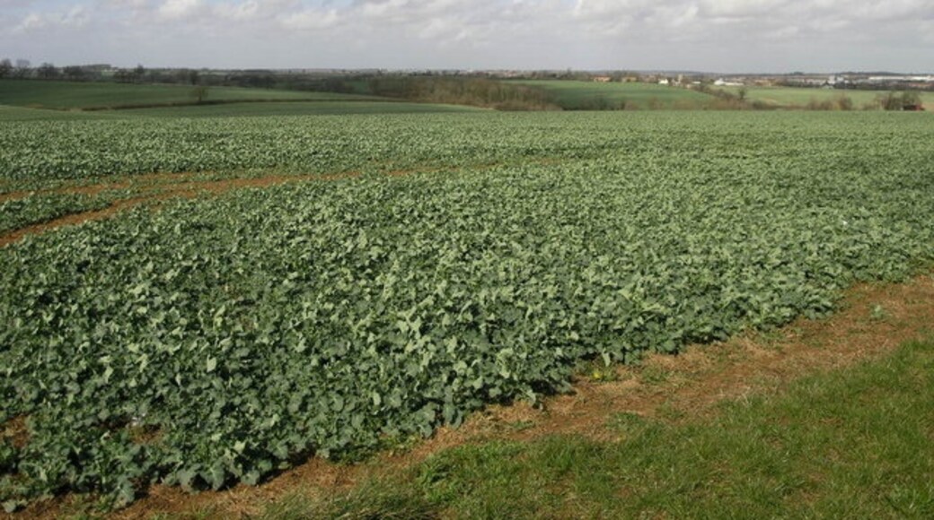 Foto „Isham“ von Michael Patterson (CC BY-SA)/zugeschnittenes Original