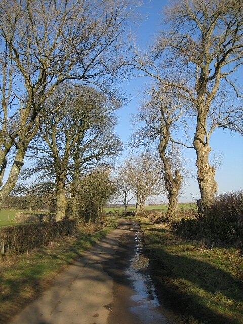 Foto "Bridekirk" de Alison Rawson (CC BY-SA) / Recortada do original