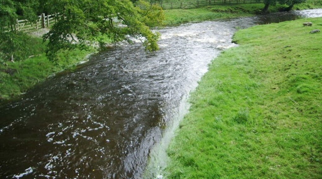 Foto “Eshton” tomada por Alexander P Kapp (CC BY-SA); recorte de la original