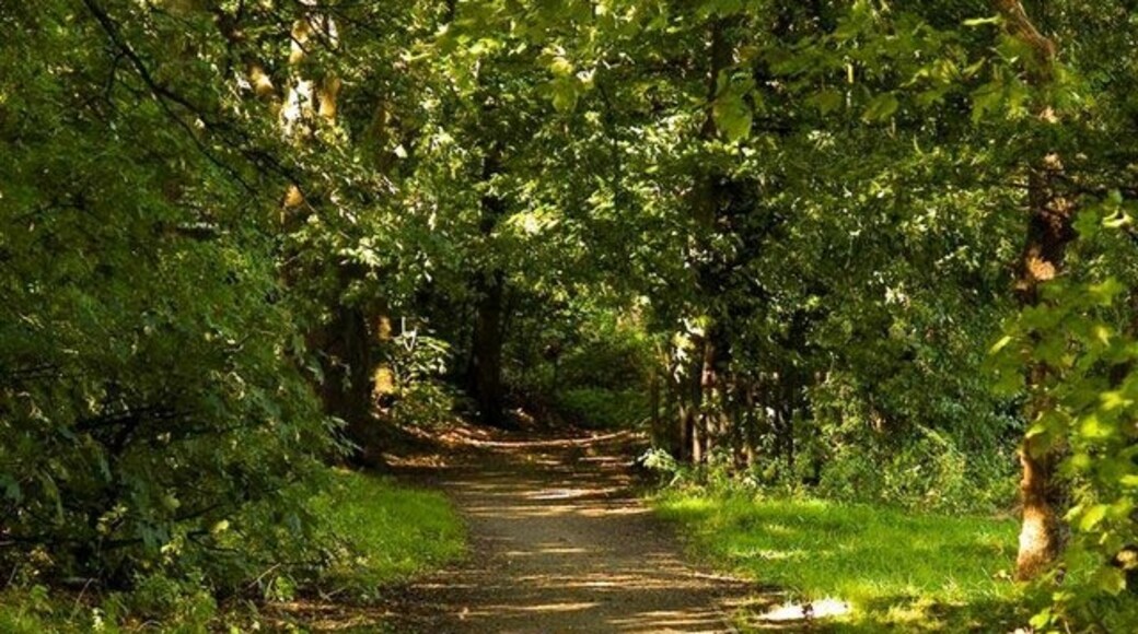 "Epping Upland"-foto av Slbs (CC BY-SA) / Urklipp från original