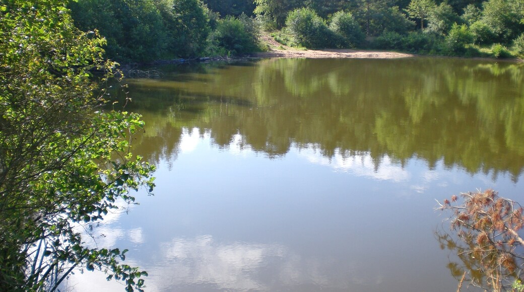 Foto „Forst Kleinschwarzenlohe“ von Derzno (CC BY)/zugeschnittenes Original