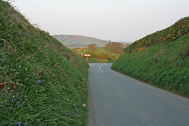 Meeting the B5053. High flower-filled banks to the Fawfieldhead road. The line of yellow in the field beyond the junction is a gorse hedge in full flower.