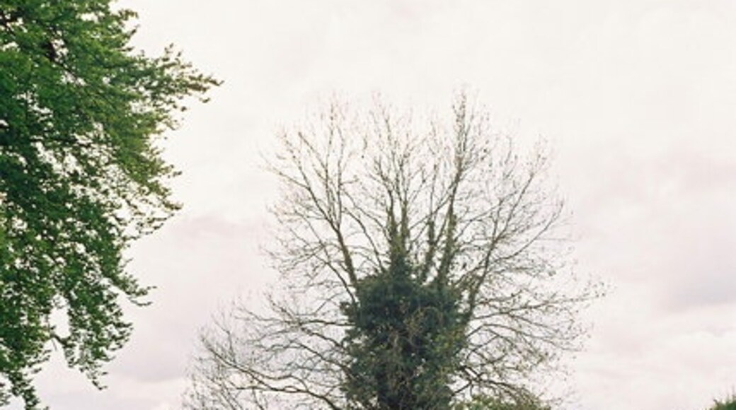 "Ellesmere Rural"-foto av Pierre Terre (CC BY-SA) / Urklipp från original