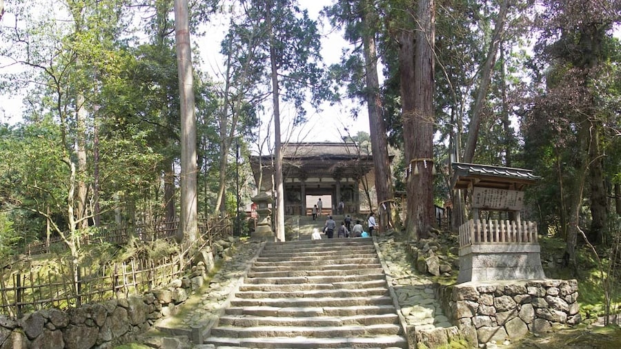 Photo "Saimyouji temple , 西明寺 二天門" by z tanuki (Creative Commons Attribution 3.0) / Cropped from original