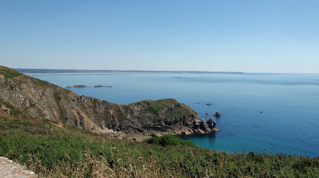 Photo "Alderney" by Daniel Jolivet (CC BY) / Cropped from original