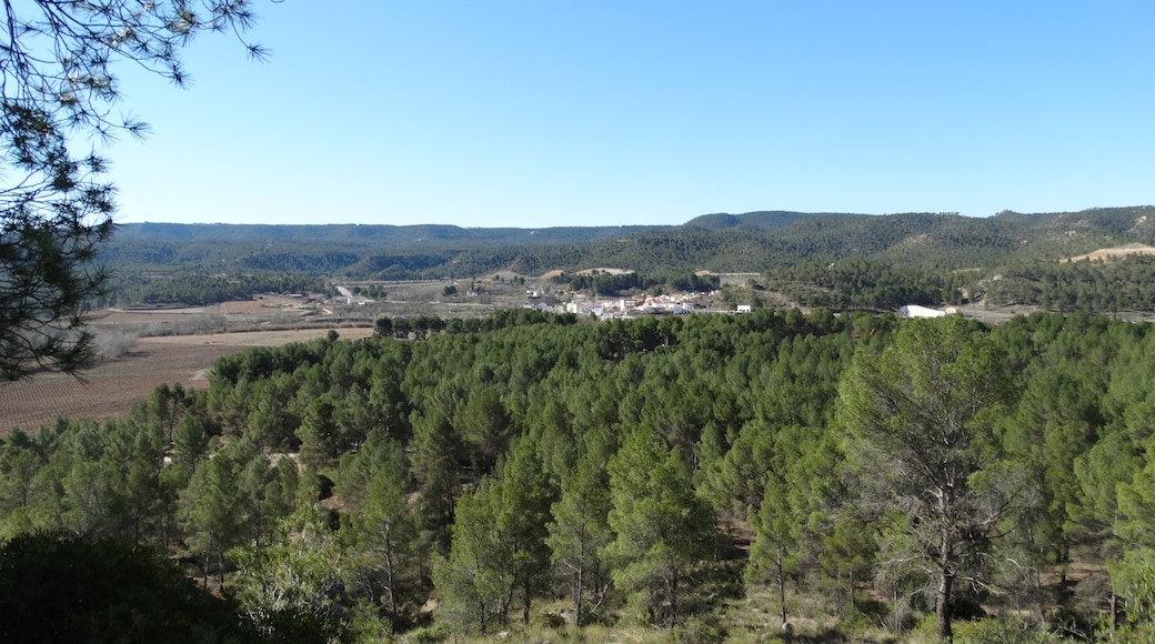 Photo "Requena" by vilfacio (CC BY) / Cropped from original