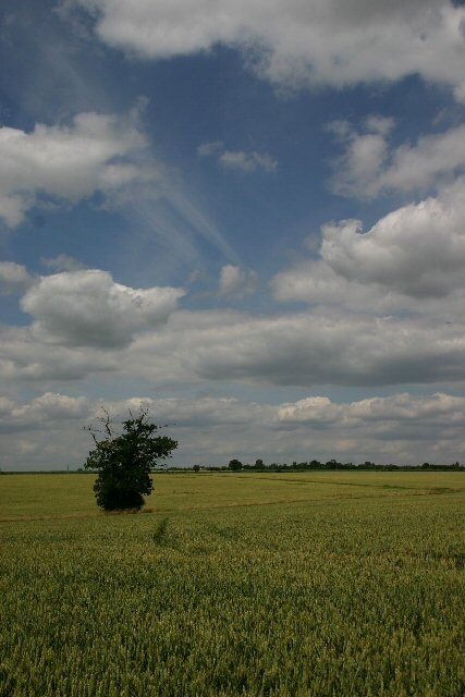 Foto “Stanstead” tomada por Bob Jones (CC BY-SA); recorte de la original