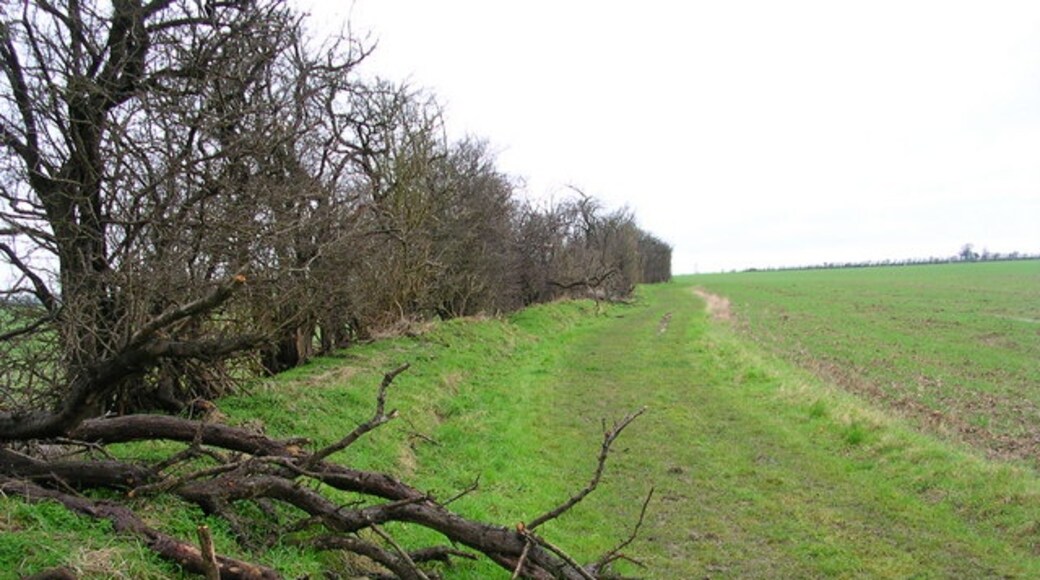 "West Wratting"-foto av Michael Chamberlain (CC BY-SA) / Urklipp från original