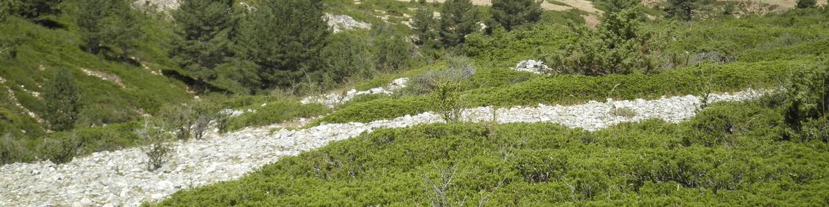 Photo "Guadalaviar" by Gregorio Arriaga (Creative Commons Attribution 3.0) / Cropped from original