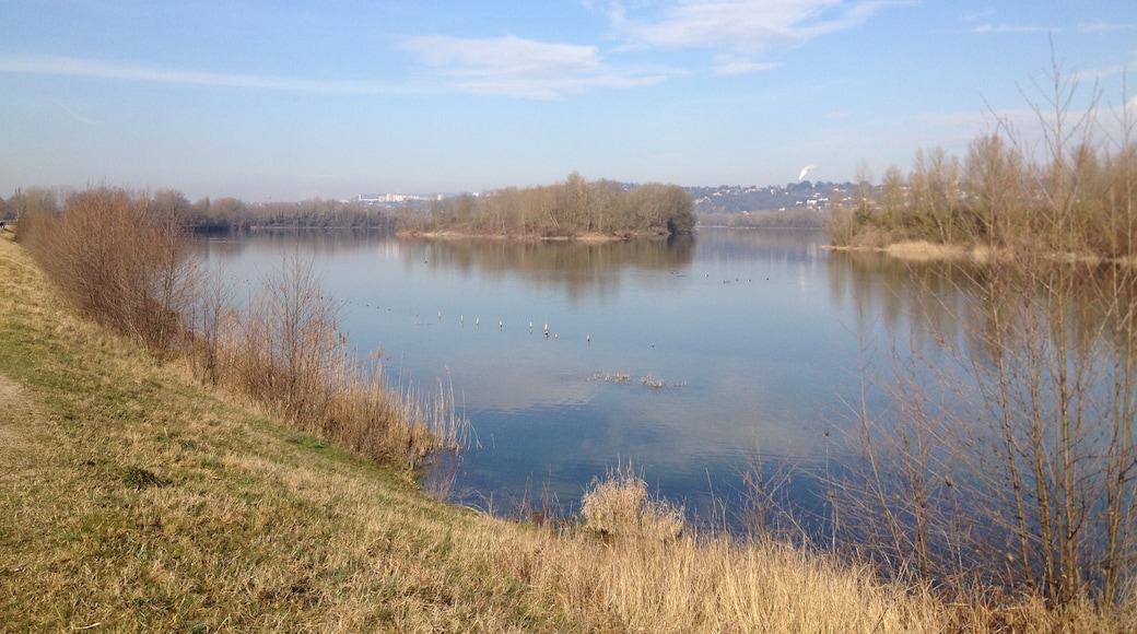 "Grand parc de Miribel-Jonage"-foto av Benoît Prieur (CC BY-SA) / Urklipp från original