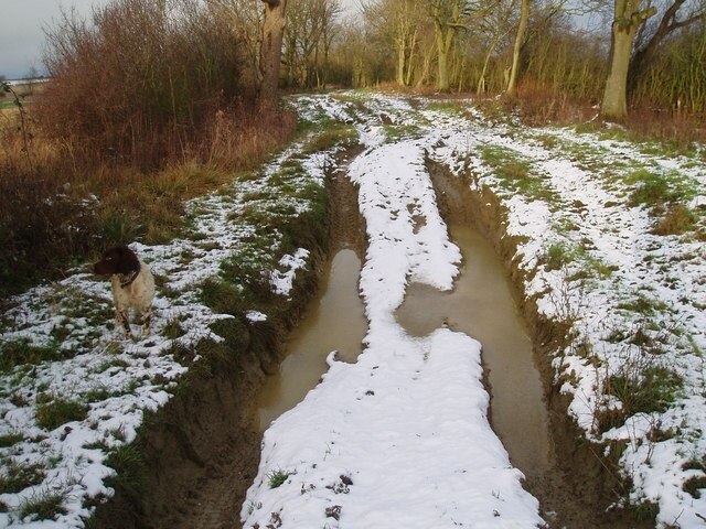 Foto “Great Gidding” tomada por Michael Trolove (CC BY-SA); recorte de la original