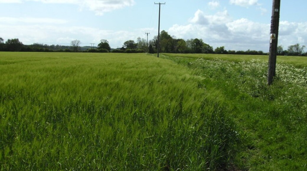 Kuva ”Holton le Clay” käyttäjältä John Beal (CC BY-SA) / rajattu alkuperäisestä kuvasta