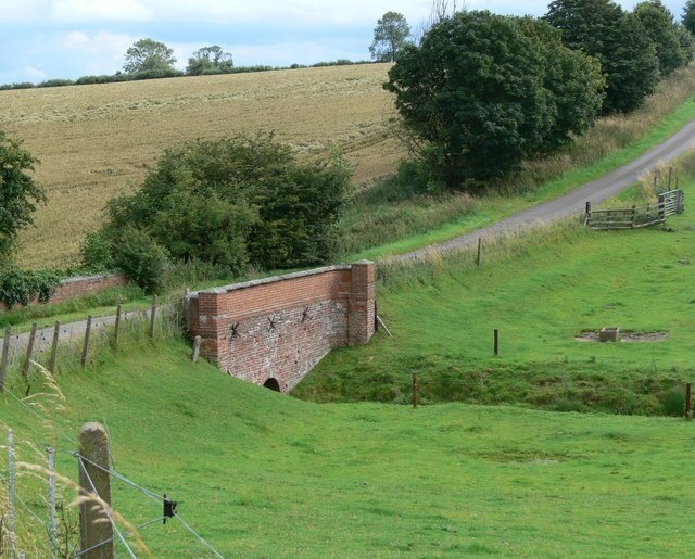 Kuva ”Shangton” käyttäjältä Mat Fascione (CC BY-SA) / rajattu alkuperäisestä kuvasta