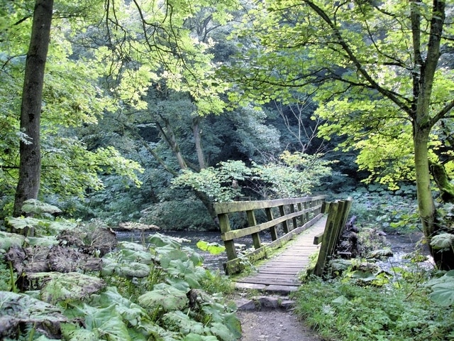 Miller's Dale - footbridge across River Wye Tideswell. Footbridge across River Wye below the Monsal Trail at Miller's Dale.