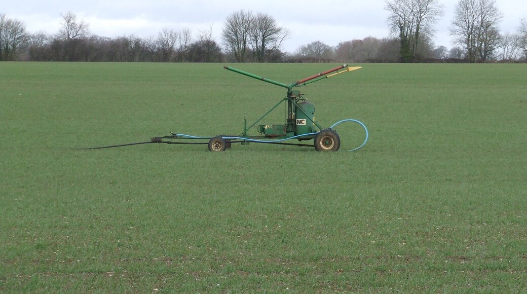 Photo "Shelfanger" by Keith Evans (CC BY-SA) / Cropped from original