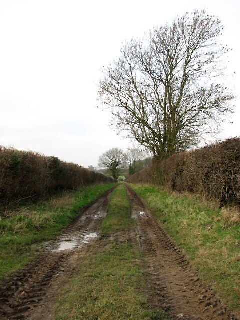 Foto "Whinburgh e Westfield" de Evelyn Simak (CC BY-SA) / Recortada do original