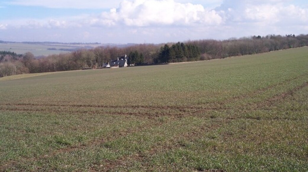 Kuva ”Cowley” käyttäjältä Bob Embleton (CC BY-SA) / rajattu alkuperäisestä kuvasta