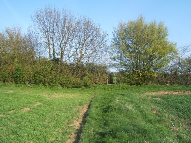 Foto "Wetherden" de Andrew Hill (CC BY-SA) / Recortada do original