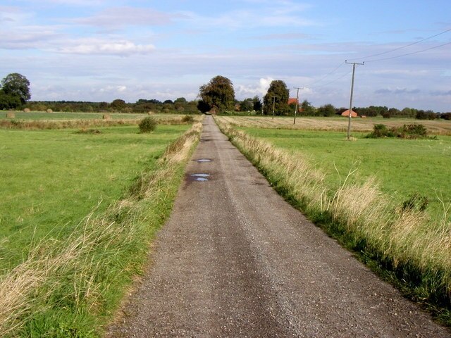 Foto “Molescroft” tomada por Andy Beecroft (CC BY-SA); recorte de la original