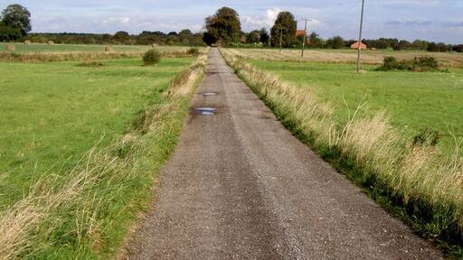 Foto “Molescroft” tomada por Andy Beecroft (CC BY-SA); recorte de la original