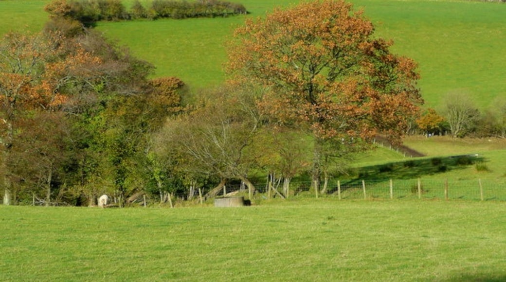 Photo "Llansadwrn" by Jonathan Billinger (CC BY-SA) / Cropped from original