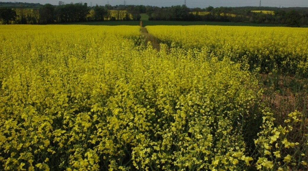 Billede "Taynton" af Philip Halling (CC BY-SA) / beskåret fra det originale billede