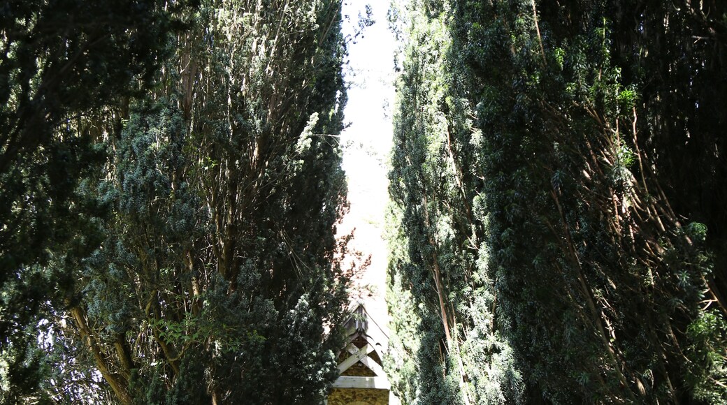 Kuva ”Leaden Roding” käyttäjältä Acabashi (CC BY-SA) / rajattu alkuperäisestä kuvasta