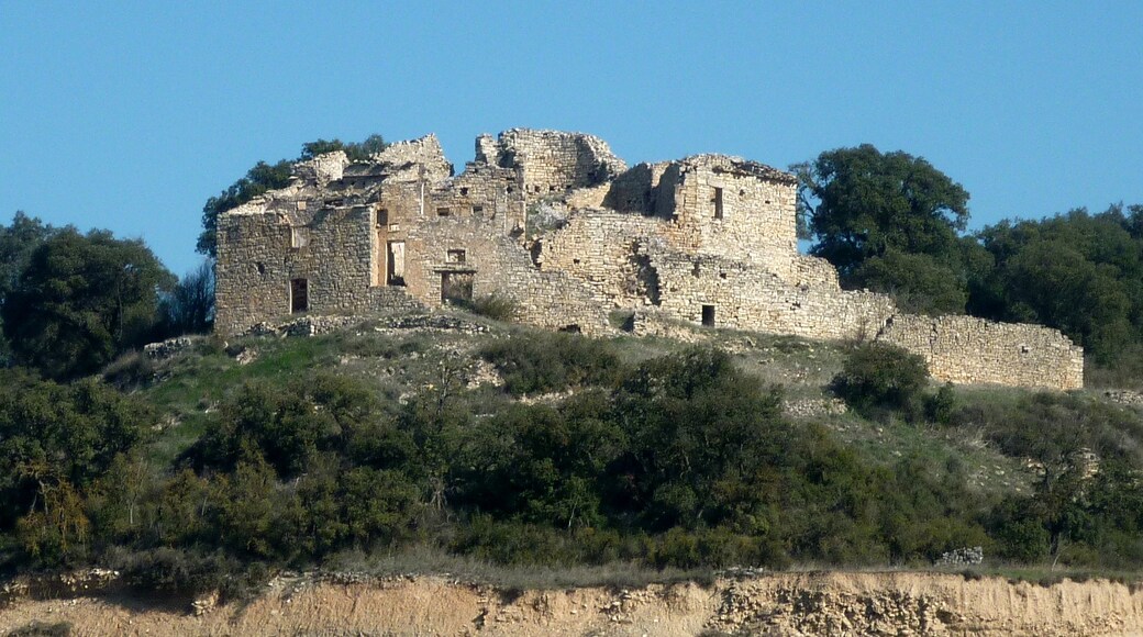 Foto “Sant Ramon” feta per Isidre blanc (CC BY-SA). Retallada de l’original.