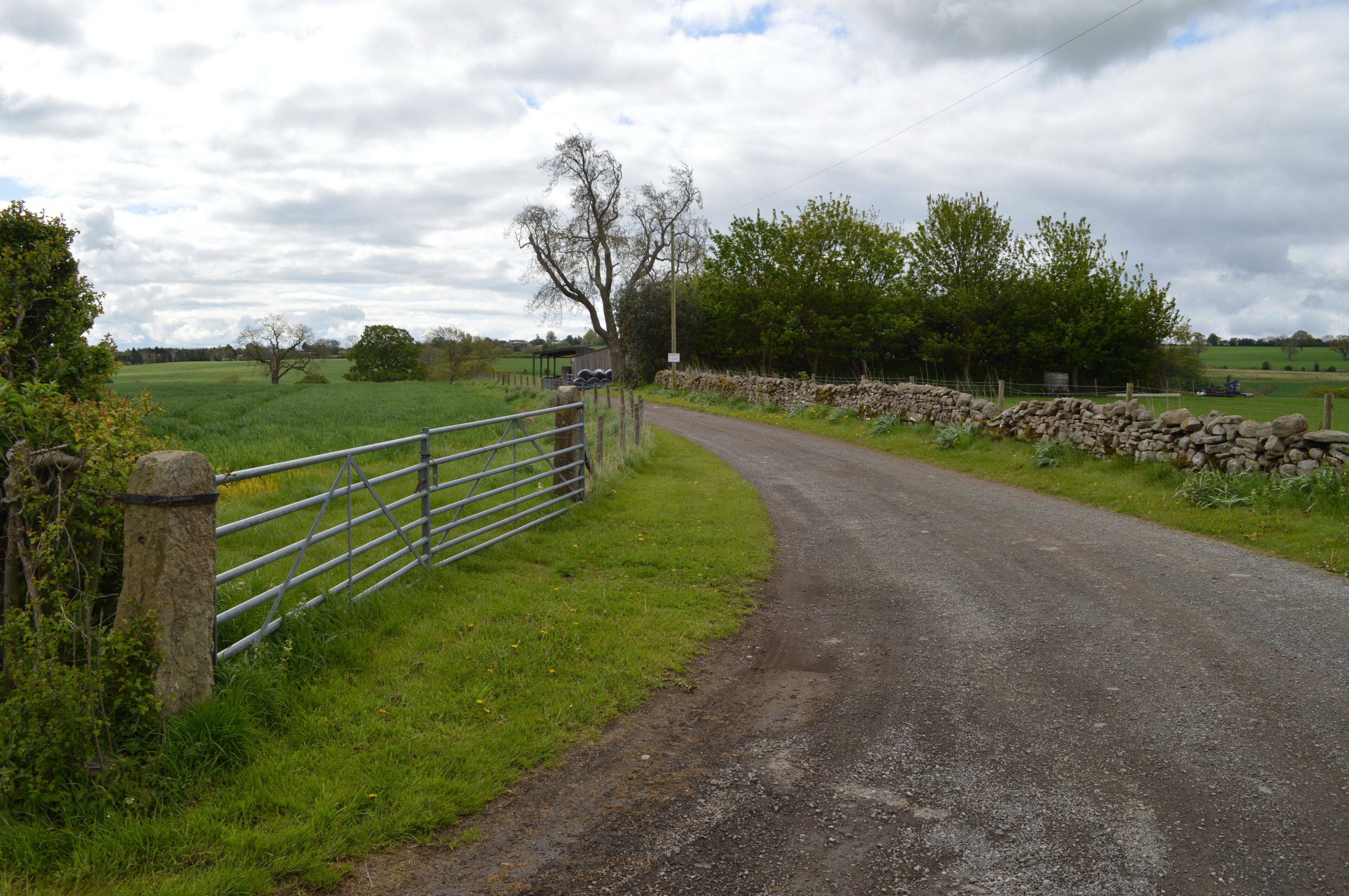 Photo "Constable Burton" by Tony Simms (CC BY-SA) / Cropped from original