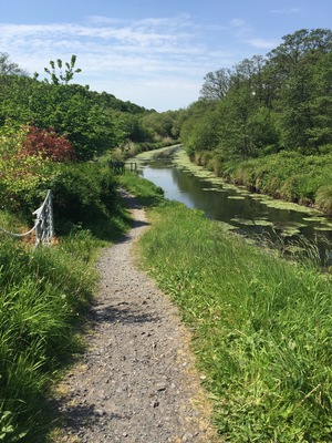 Tennant Canal. View of towpath alongside Tennant canal from Crymlyn bridge.