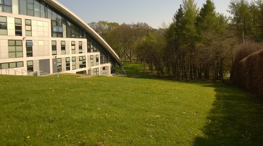 The Robert Gordon University, Aberdeen, Scotland: Business School building and meadow with wildflowers. Dandelions are in bloom.