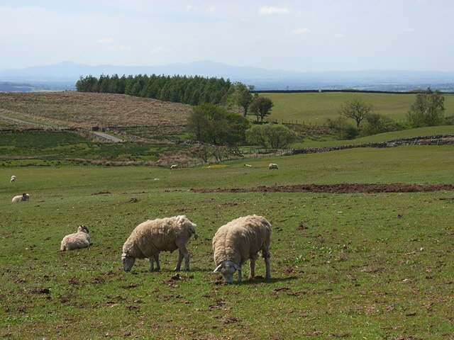 "Kingwater"-foto av John Hill (CC BY-SA) / Urklipp från original