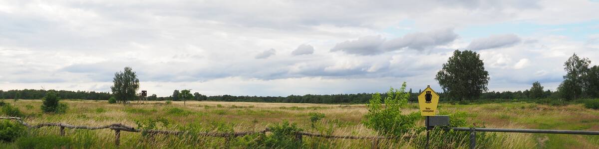 Photo "Elbniederterasse bei Gohlis im Naturschutzgebiet Gohrischheide und Elbniederterrasse Zeithain" by Staubi59 (Creative Commons Attribution-Share Alike 4.0) / Cropped from original