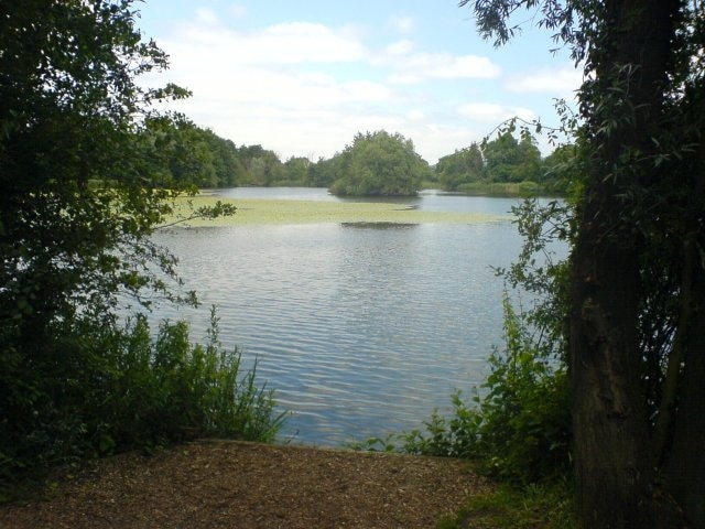 Leybourne Lake. Looking out over Leybourne Lake, an island with some trees can be seen in the distance.