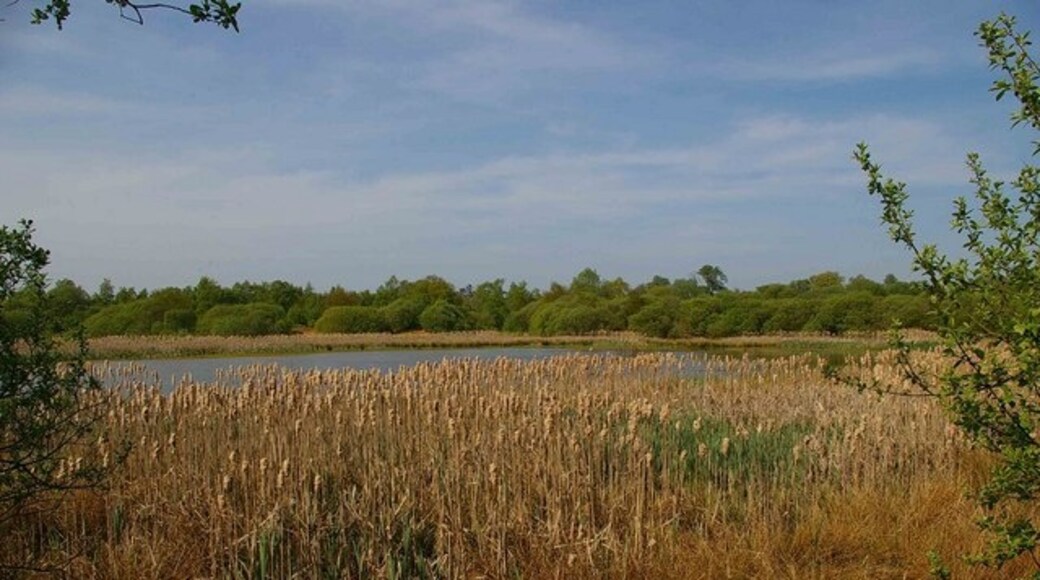 Photo "Asheldham" by Glyn Baker (CC BY-SA) / Cropped from original