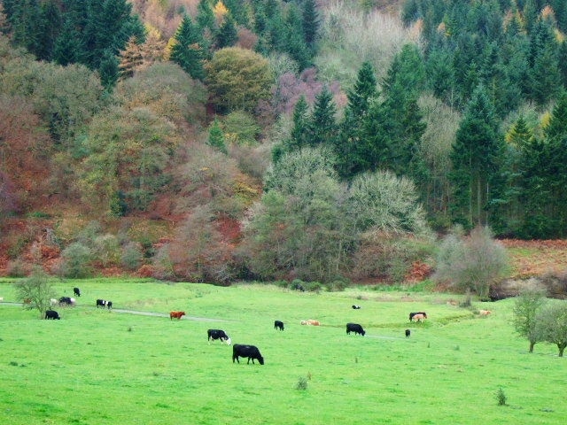 Foto "More" por John Poyser (CC BY-SA) / Recortada de la original