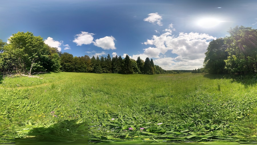 Photo "Photosphere: "Naturschutzgebiet In der Breungeshainer Heide" in "Naturpark Hoher Vogelsberg" near Geiselstein Ulrichstein, Hesse, Germany" by UuMUfQ (Creative Commons Attribution-Share Alike 3.0) / Cropped from original