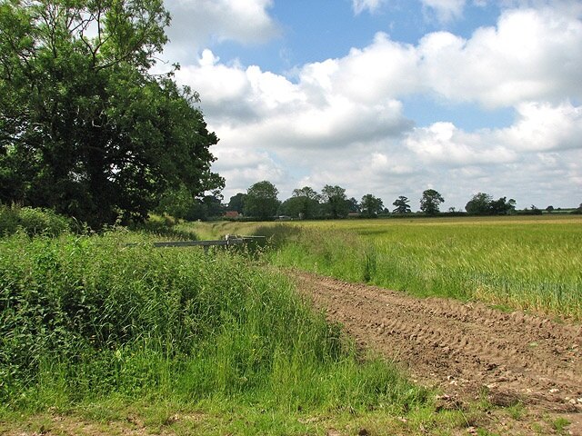 Billede "Little Ellingham" af Evelyn Simak (CC BY-SA) / beskåret fra det originale billede