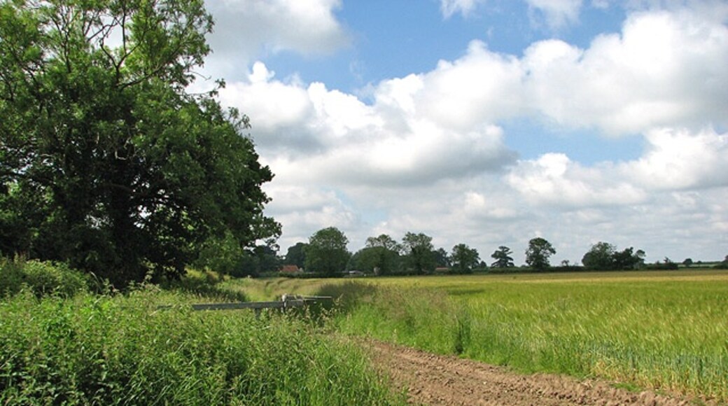 Billede "Little Ellingham" af Evelyn Simak (CC BY-SA) / beskåret fra det originale billede