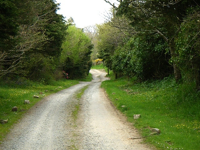 Lane. The lane to 'Upper' and 'Lower Honey Hook Farms'.