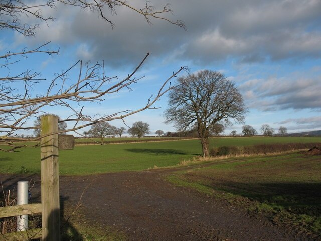 Photo "Romanby" by Gordon Hatton (CC BY-SA) / Cropped from original