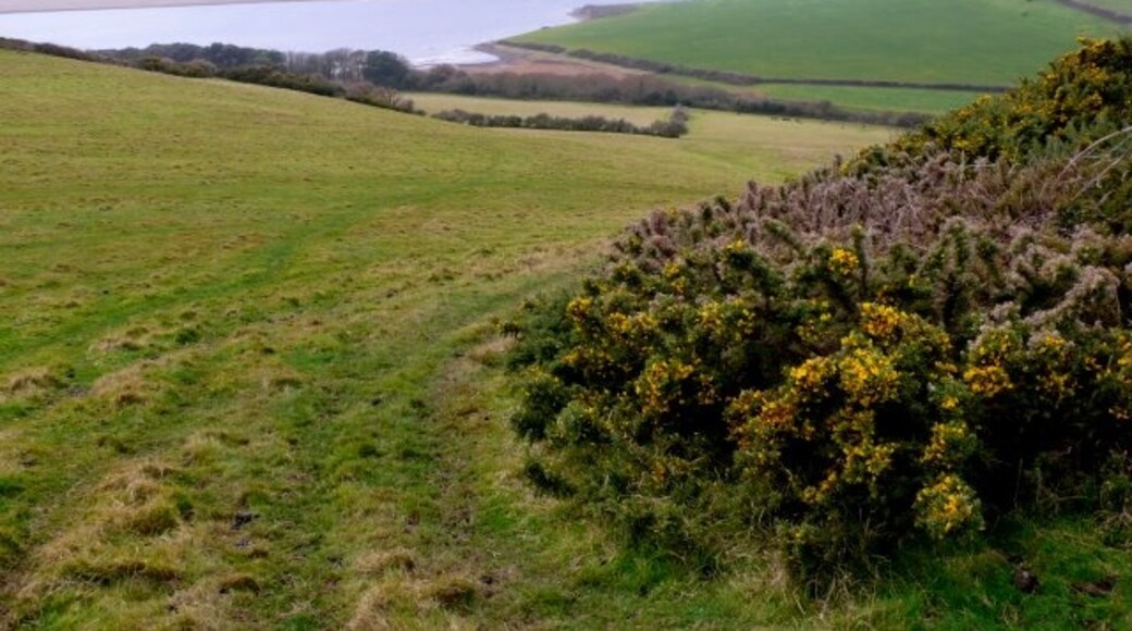 "Langton Herring"-foto av Nigel Mykura (CC BY-SA) / Urklipp från original