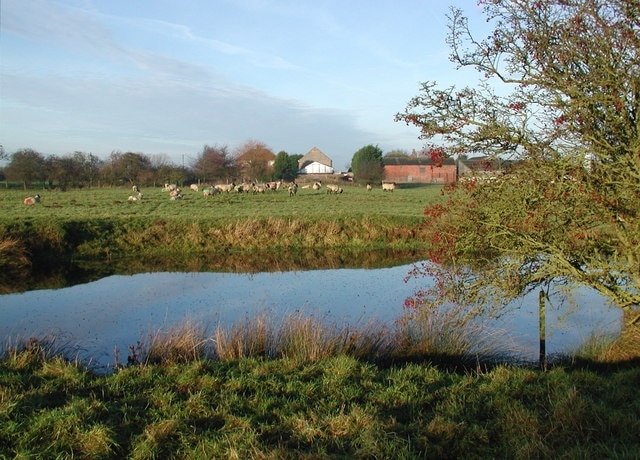 Ảnh "Rimswell" của Paul Glazzard (CC BY-SA) / Cắt từ ảnh gốc