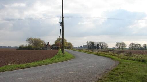 Foto “Lutton” tomada por Ian Paterson (CC BY-SA); recorte de la original