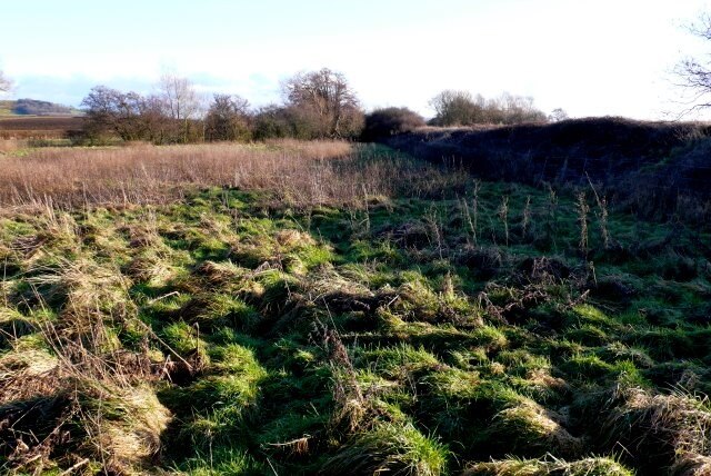 Kuva ”Clifton Maybank” käyttäjältä Nigel Mykura (CC BY-SA) / rajattu alkuperäisestä kuvasta