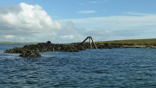 Foto "Flotta Isle" oleh George Brown (CC BY-SA) / Dipotong dari foto asli