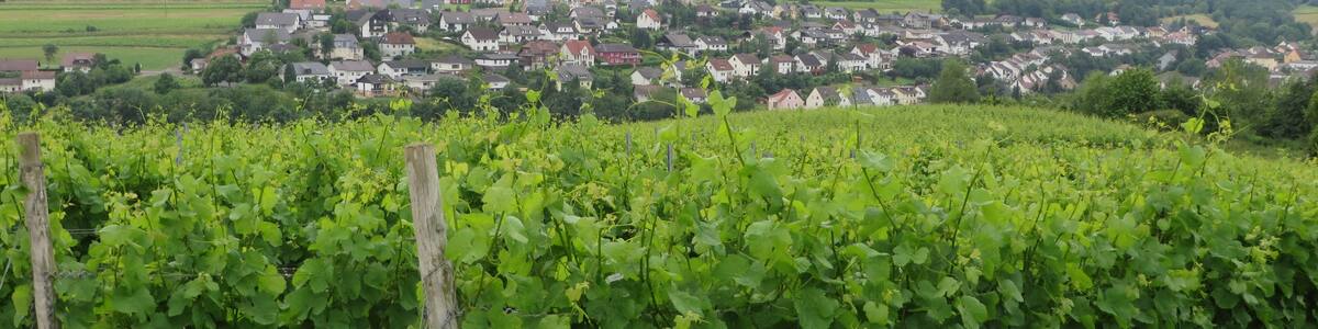 Photo "Wallhausen, Germany" by Ralfk (Creative Commons Attribution-Share Alike 4.0) / Cropped from original